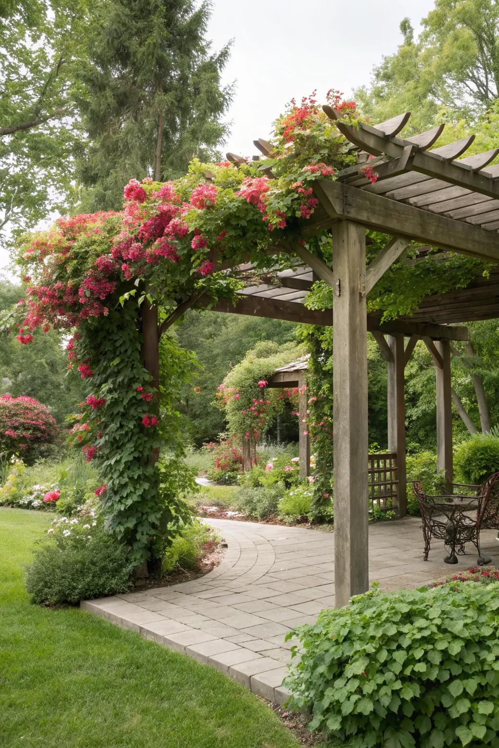 A classic wooden pergola adorned with wisteria adds charm and shade.