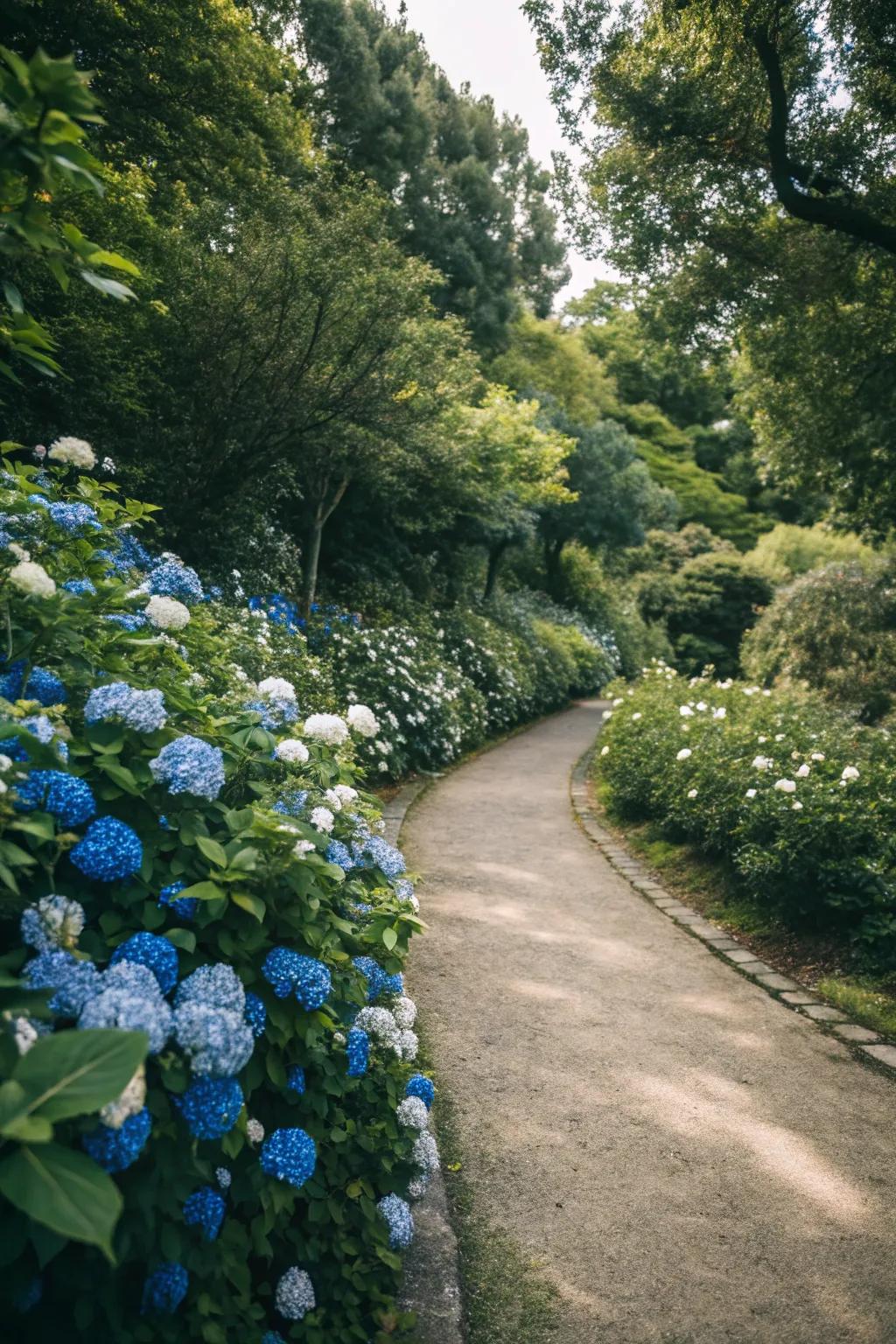A welcoming garden path adorned with blue and white blossoms