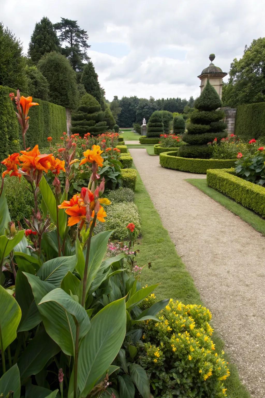 Canna lilies elegantly lining a garden pathway.