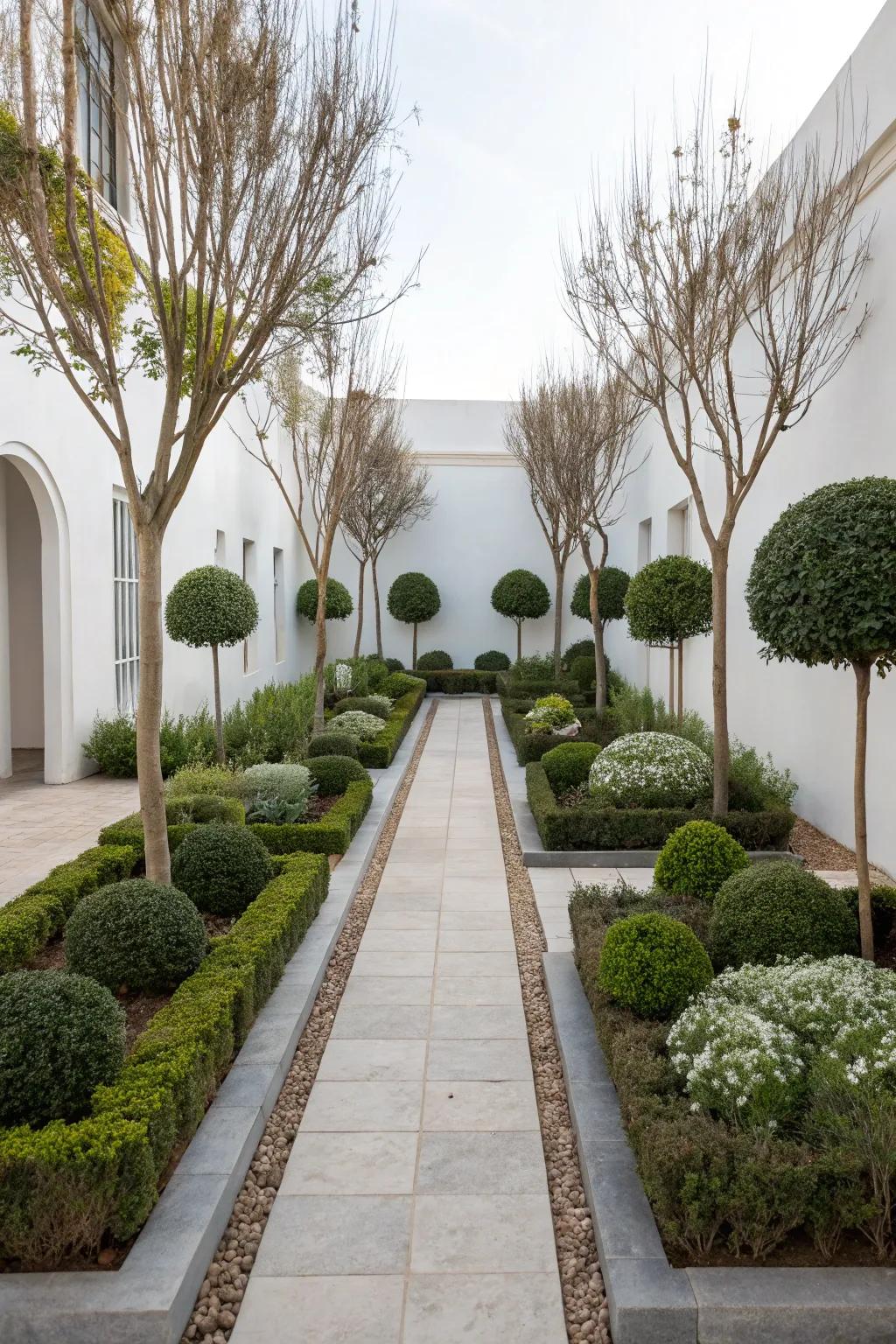 A minimalist garden showcasing symmetrical plant arrangements with diverse textures.