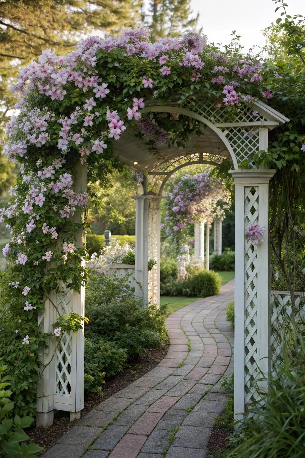 A stunning garden arbor covered with blooming clematis vines.
