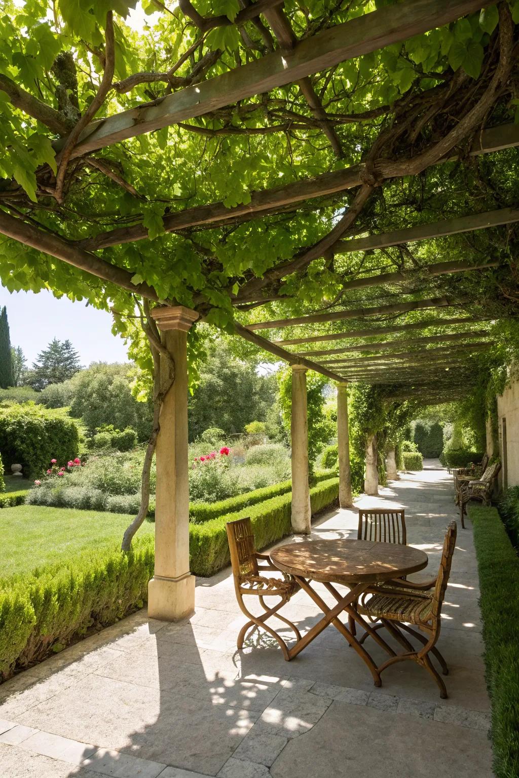 A pergola with vines creates a natural, green canopy.