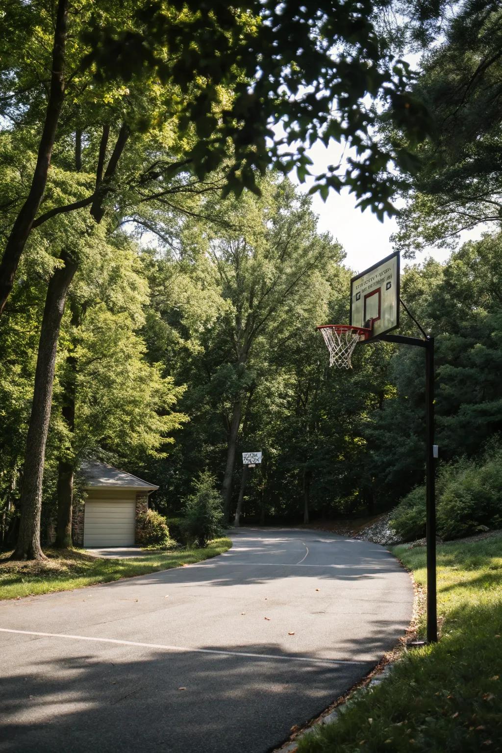 Adjustable basketball hoops make the game accessible for all ages.