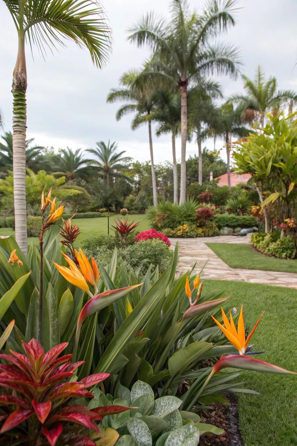 A lush tropical garden with palm trees and vibrant plants creates a stunning oasis.