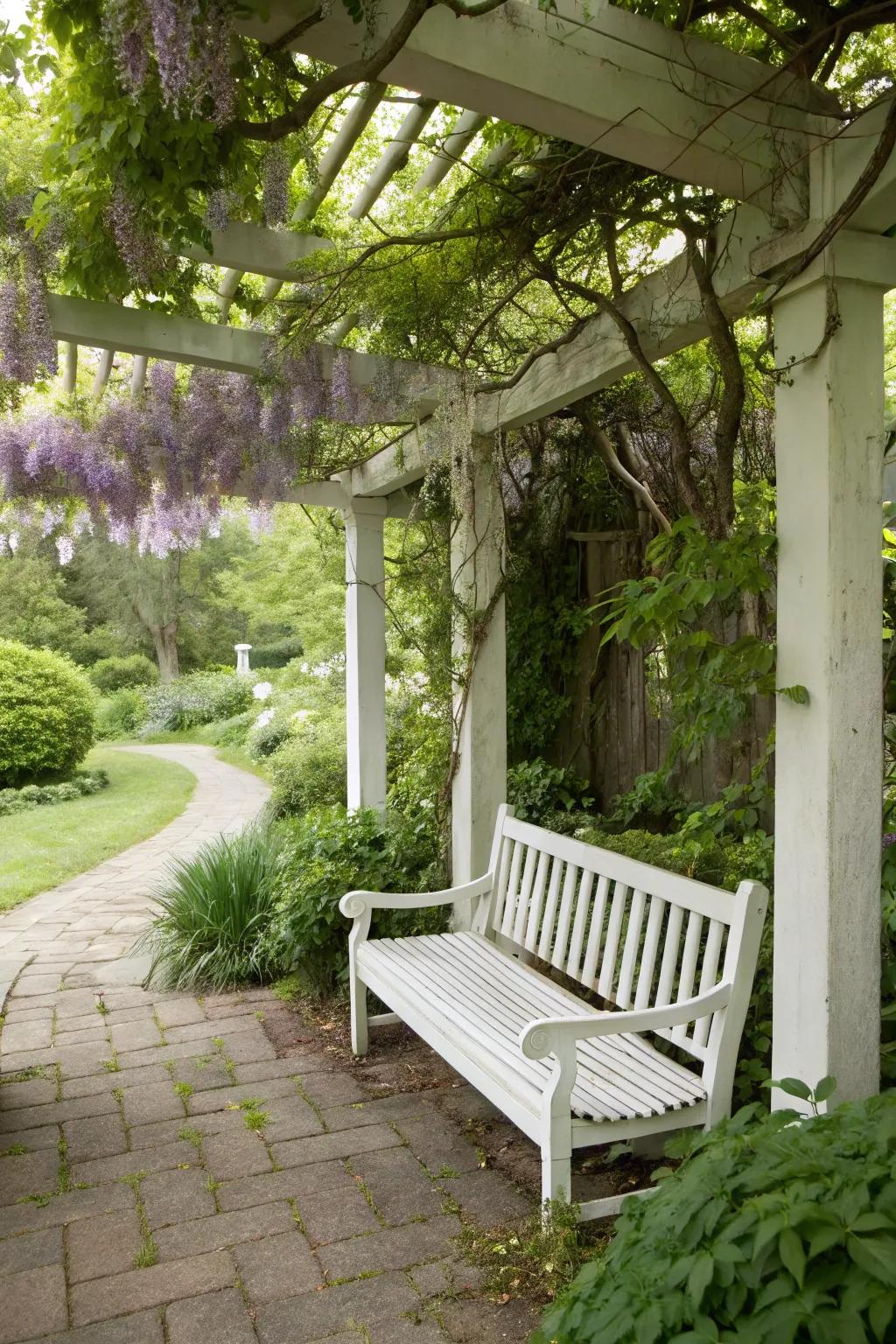 A white bench under wisteria creates a serene and elegant garden nook.