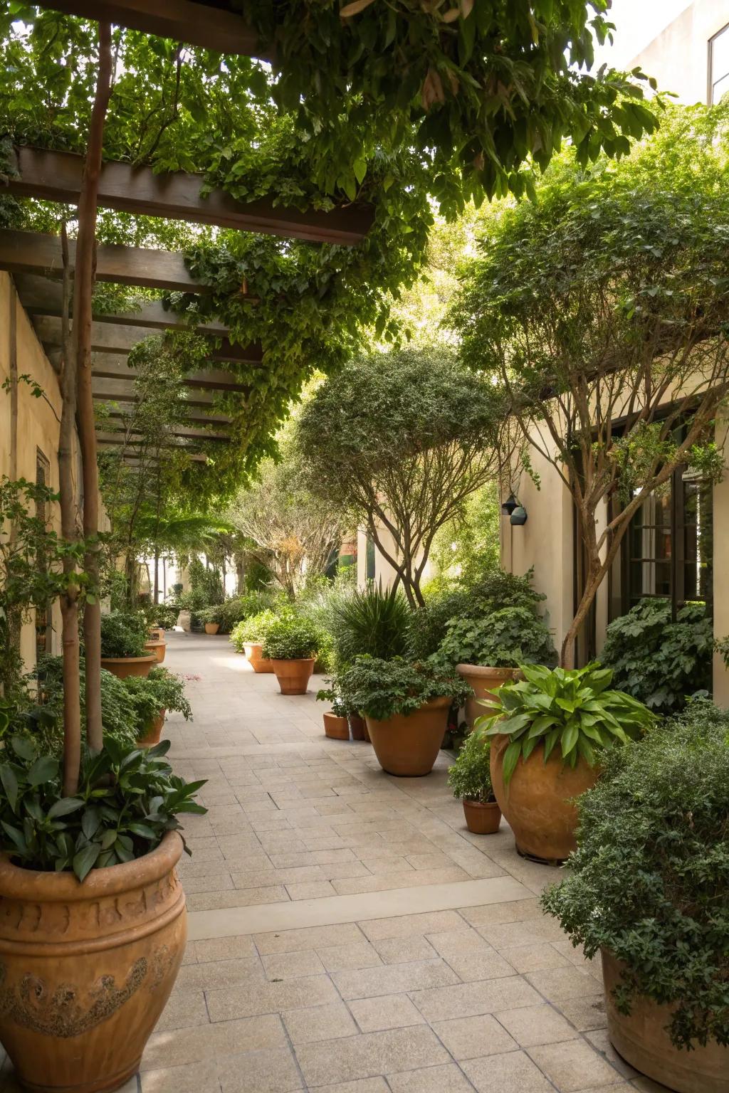 A patio transformed with large potted plants and small trees.
