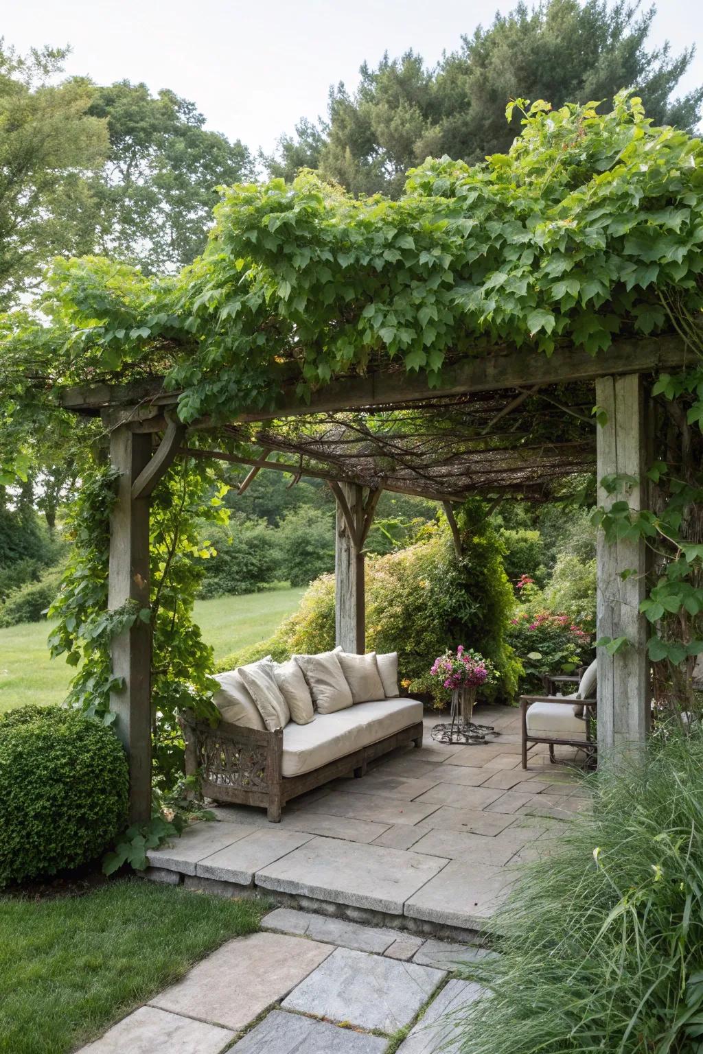 A pergola can transform any spot into a cozy retreat.