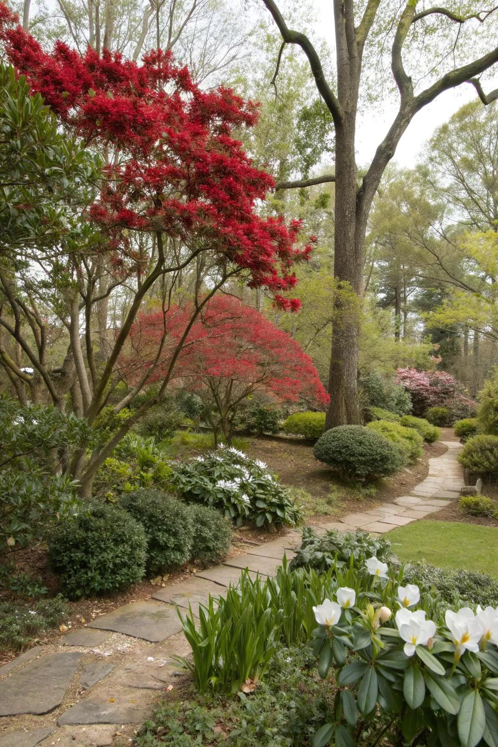 Native plants thriving in a Georgia garden.