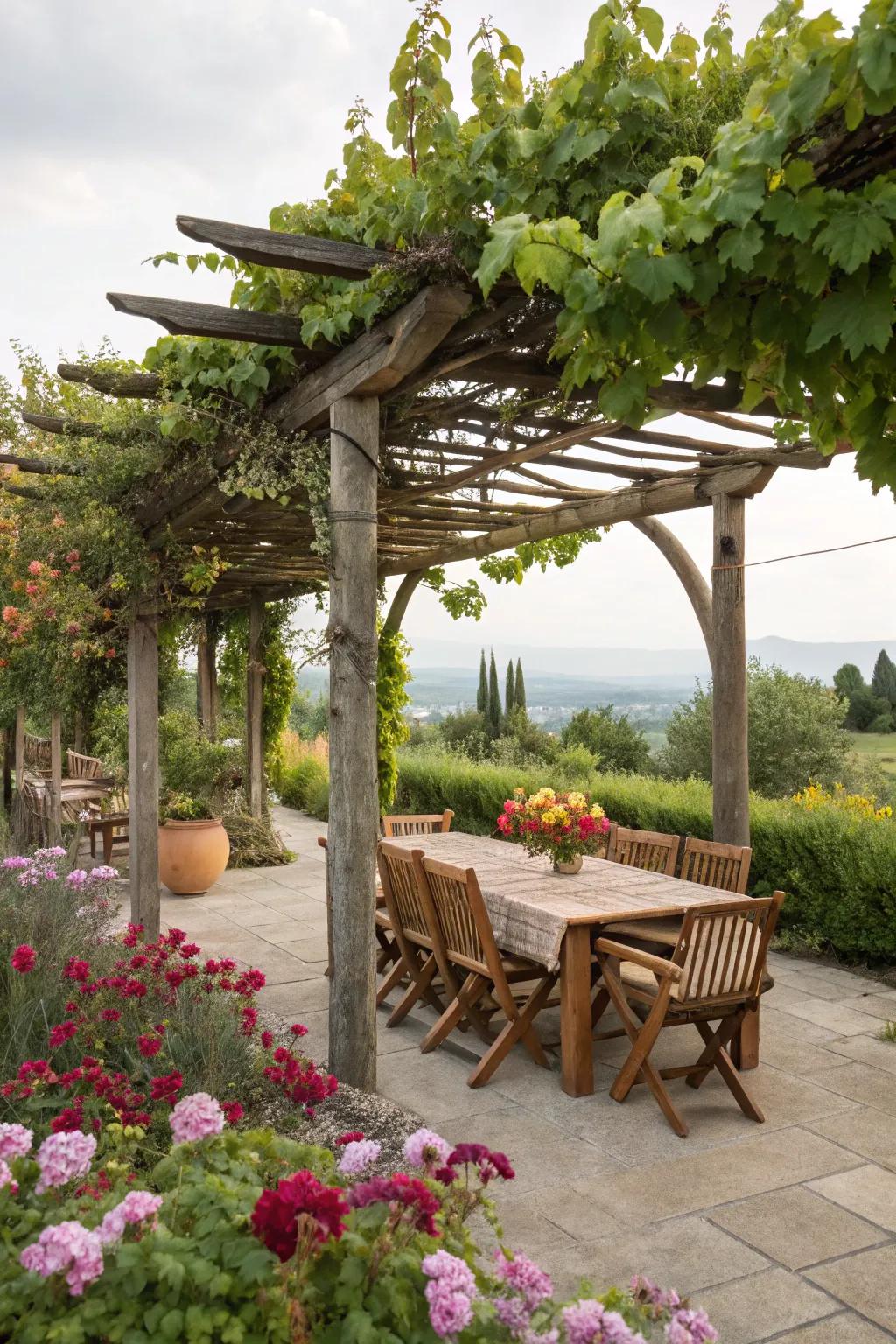 A classic wooden pergola with grapevines, perfect for family gatherings.