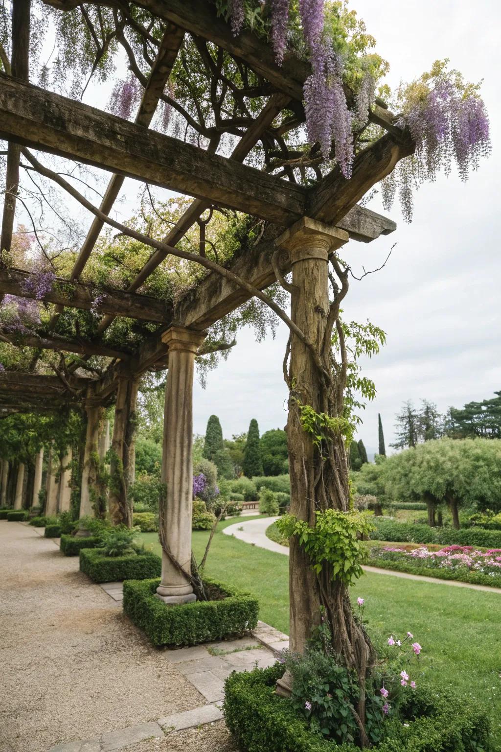 An Italian pergola draped in fragrant wisteria, creating a lush garden retreat.