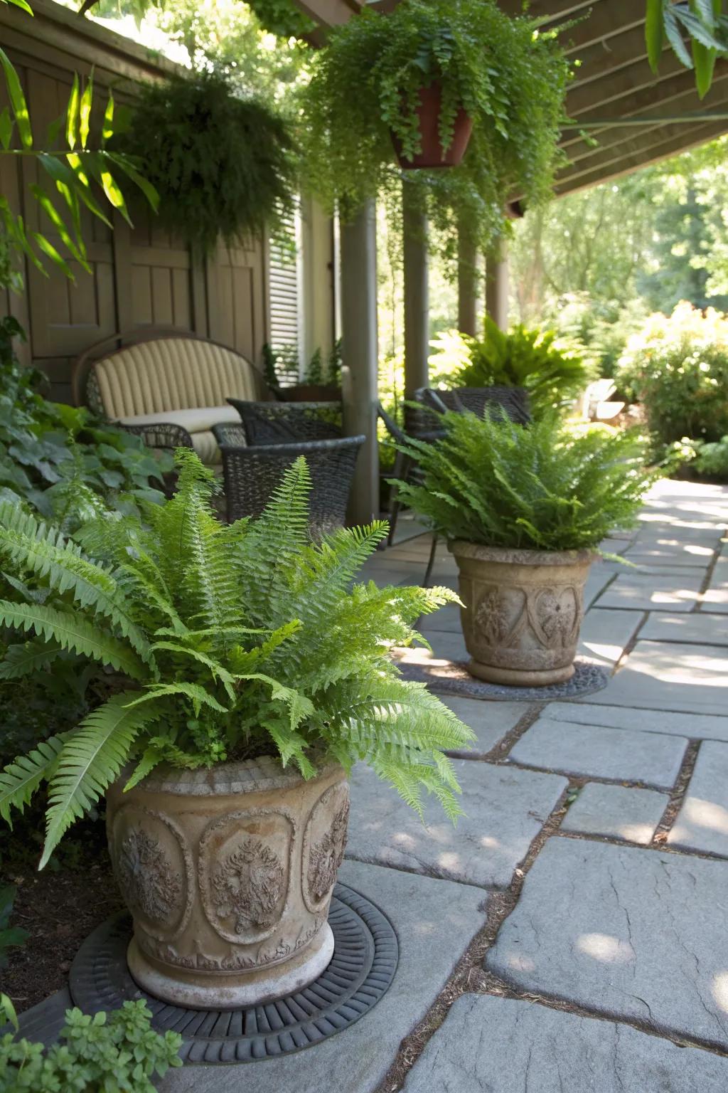 Bring life to shady spots with lush artificial ferns.