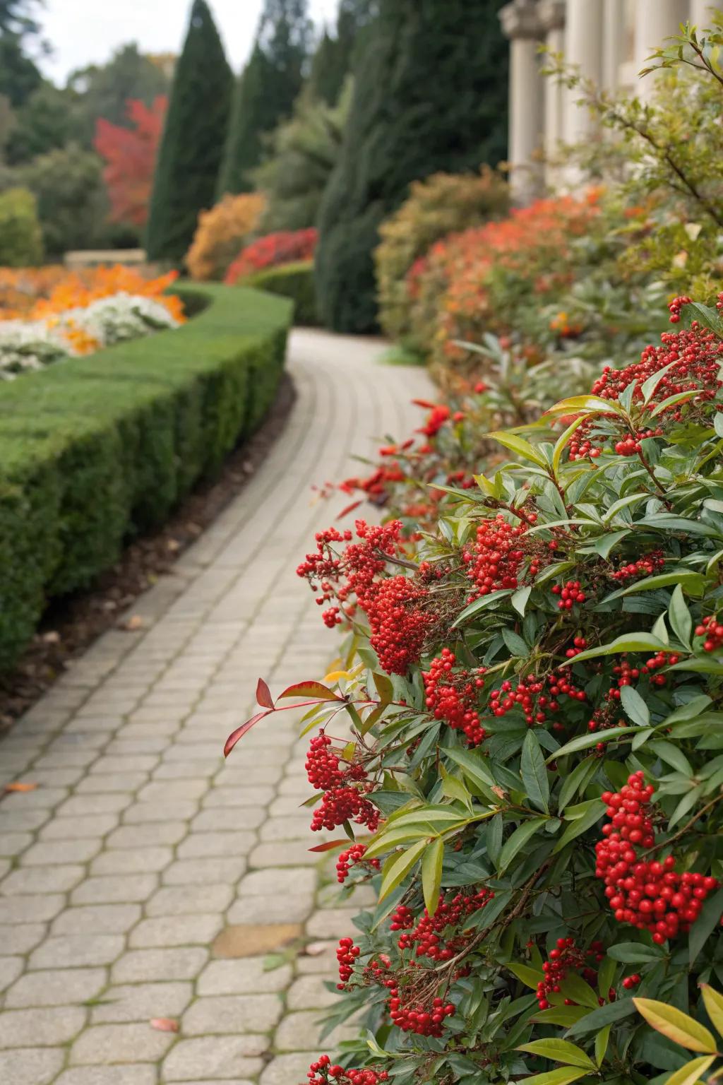 Nandina plants create a soft yet structured border along garden pathways.