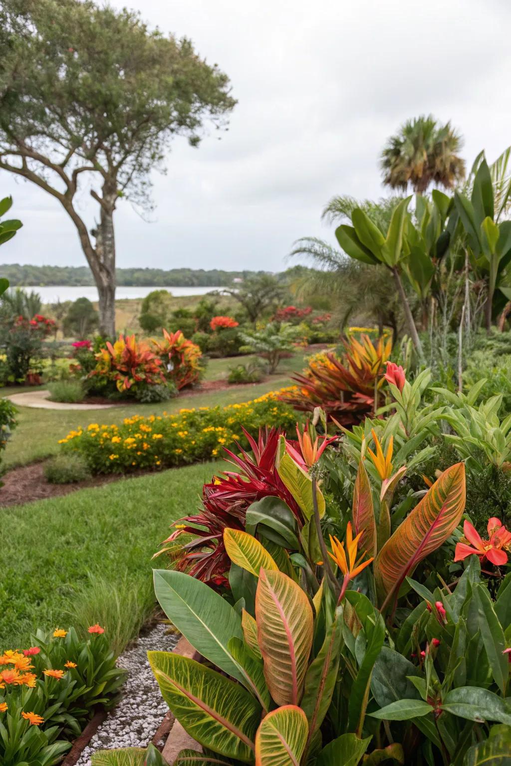 Tropical plants such as crotons and birds of paradise bring bold color to a North Florida garden.