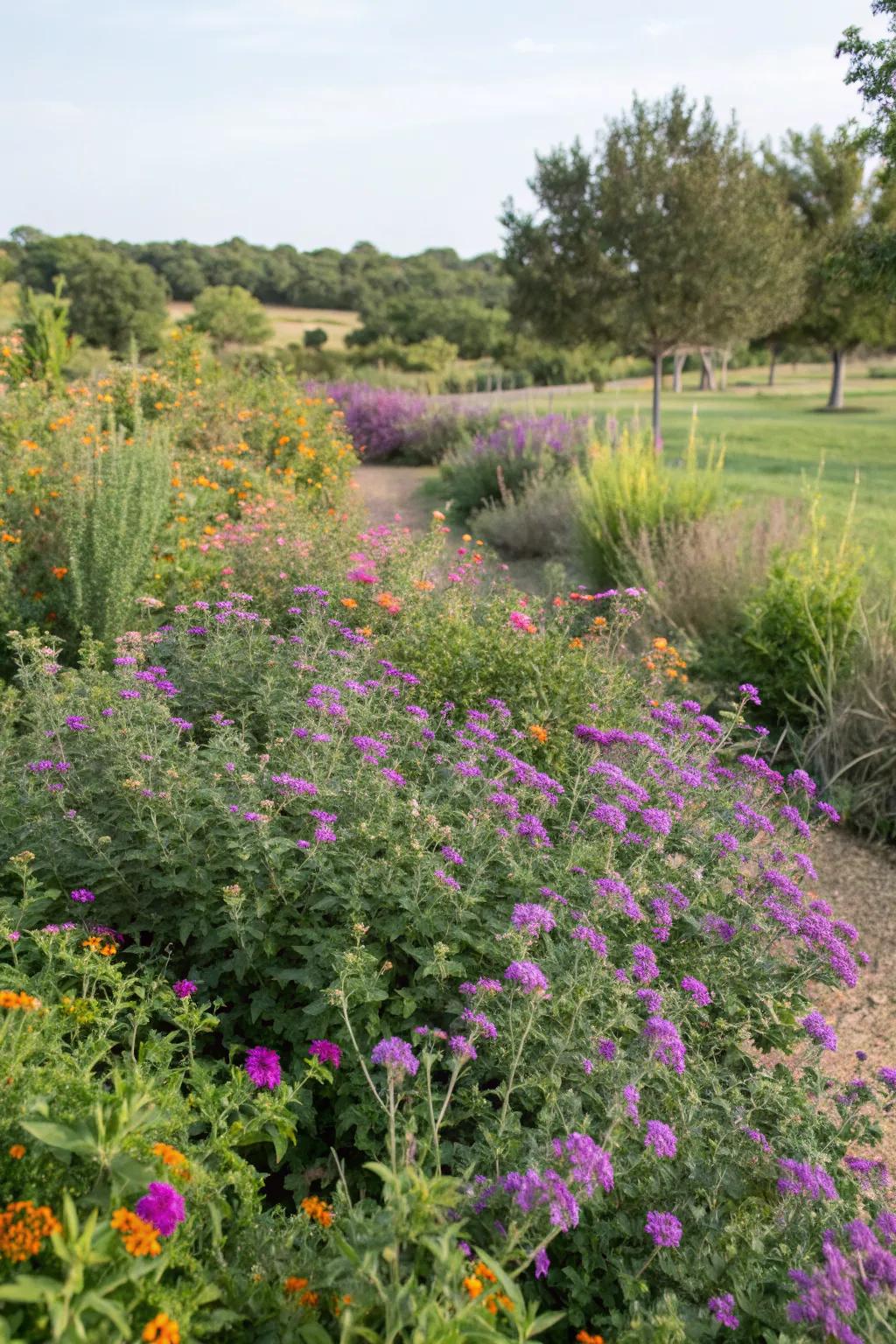 Native plants like Texas sage and lantana bring color and ease to your landscape.