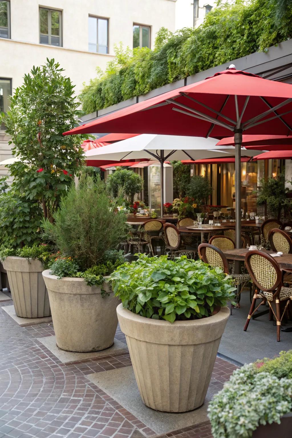 Planters filled with greenery create a refreshing dining ambiance.