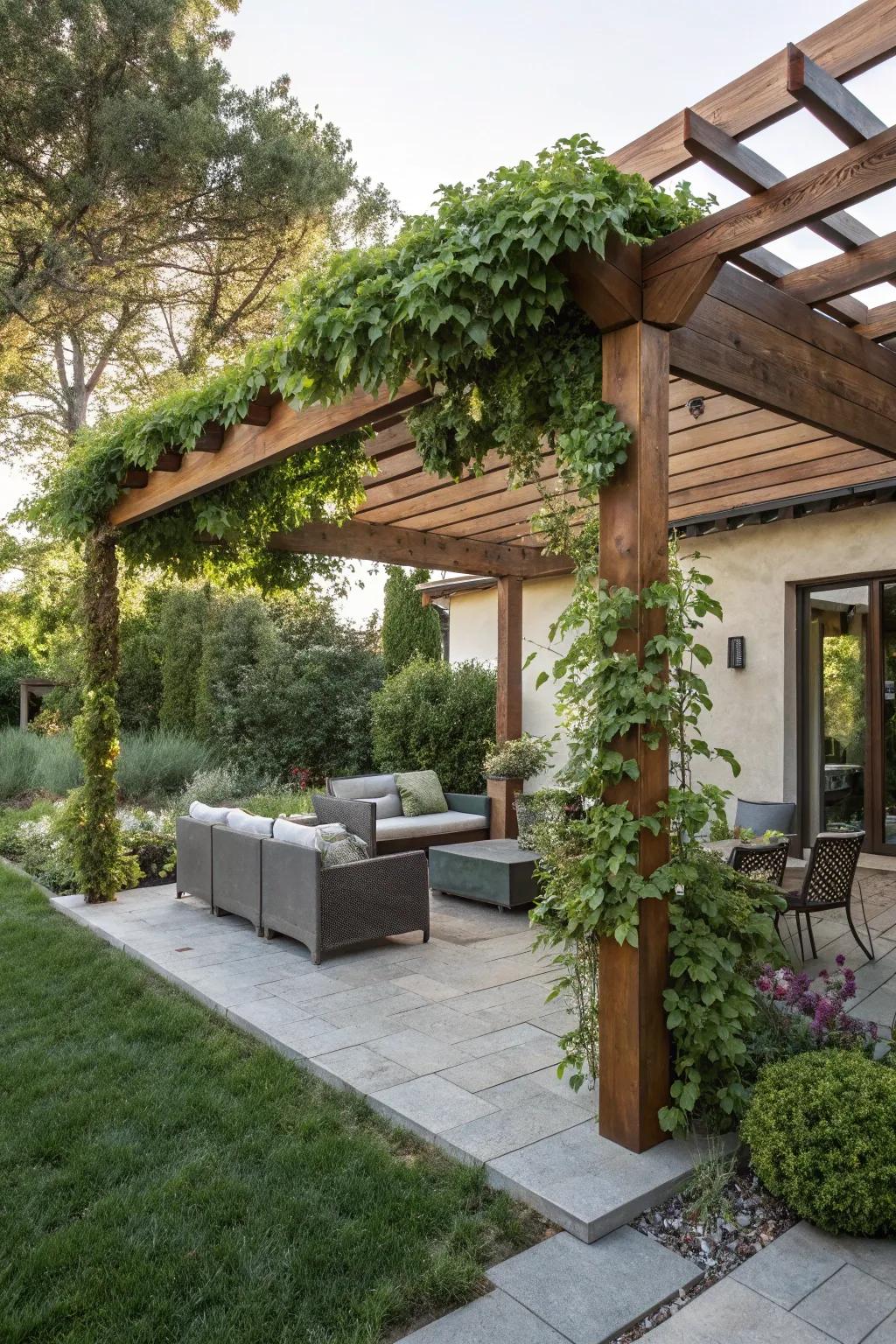 A wooden pergola adorned with climbing plants offers a natural charm.