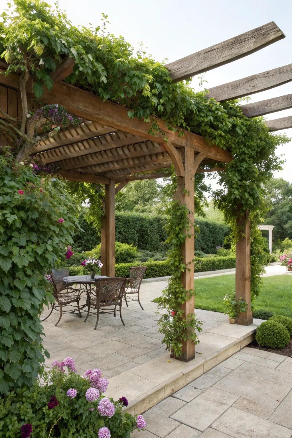 A pergola with climbing plants creates a natural and stylish shade.