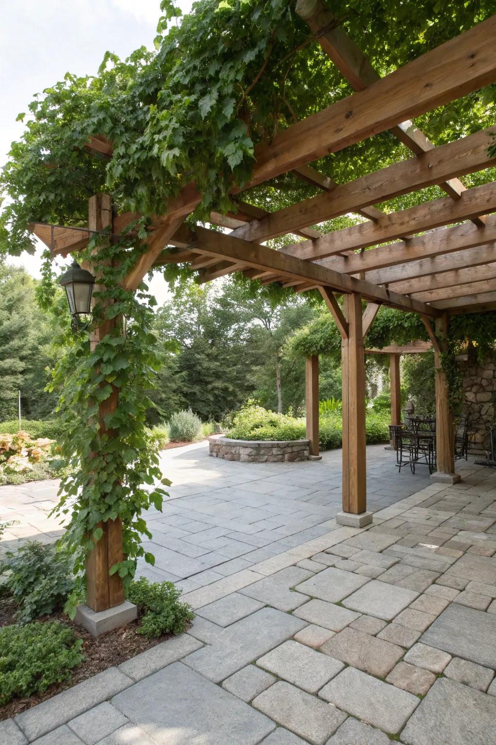 A classic wooden pergola with climbing vines offers natural beauty and shade.