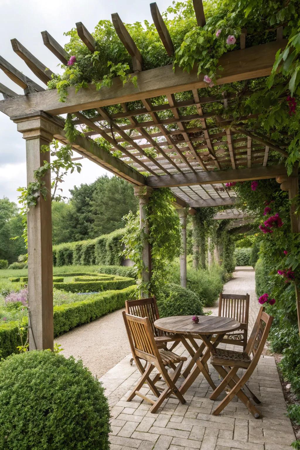 A classic wooden pergola with climbing vines creates a natural oasis.