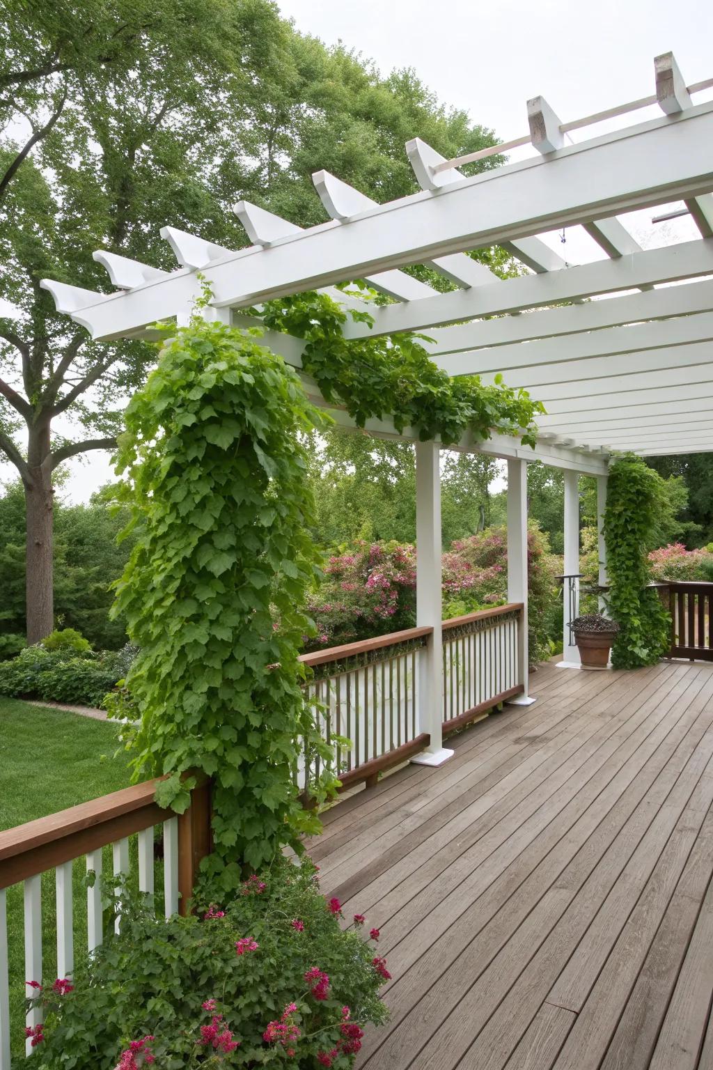 Create a cozy nook with a pergola over your rectangular deck.
