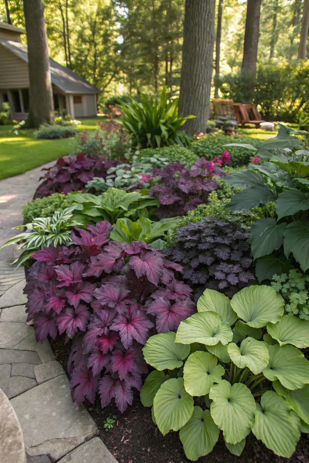Bring life to shaded areas with vibrant foliage combinations.