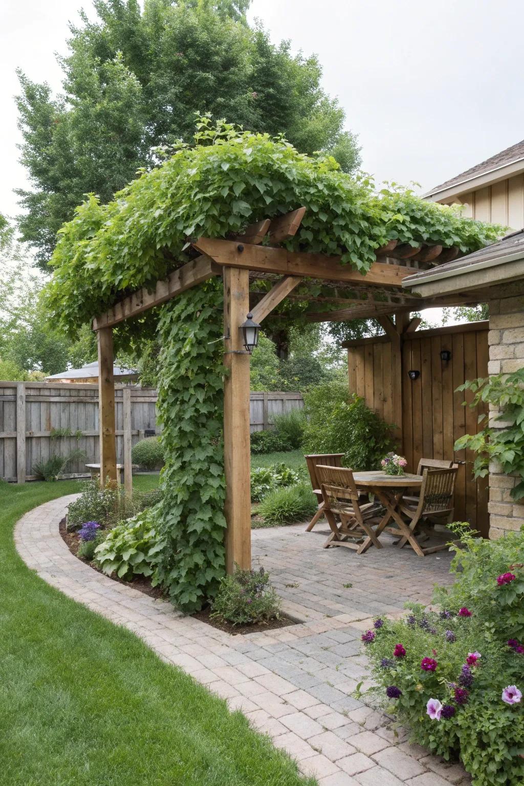 A pergola with climbing vines offers shade and charm to any side yard.