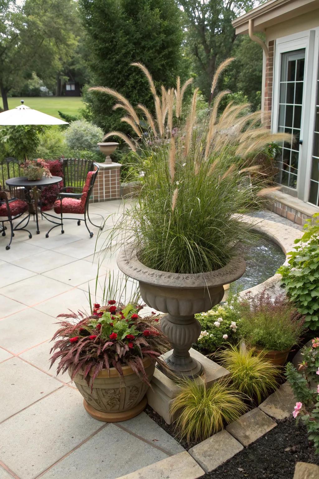 Tall fountain grass creating a dramatic focal point in a container garden.