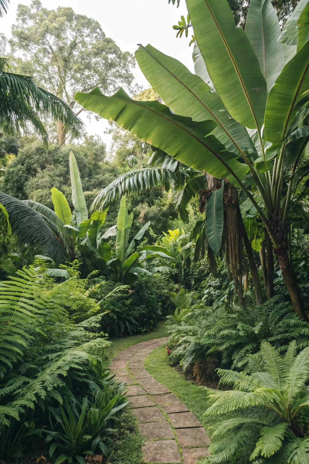 Create a lush green foundation with large-leaf tropical plants.