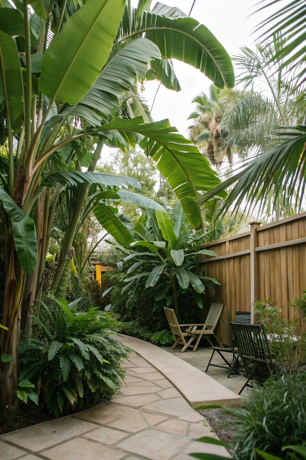 A patio transformed into a lush jungle with towering palms and banana plants.