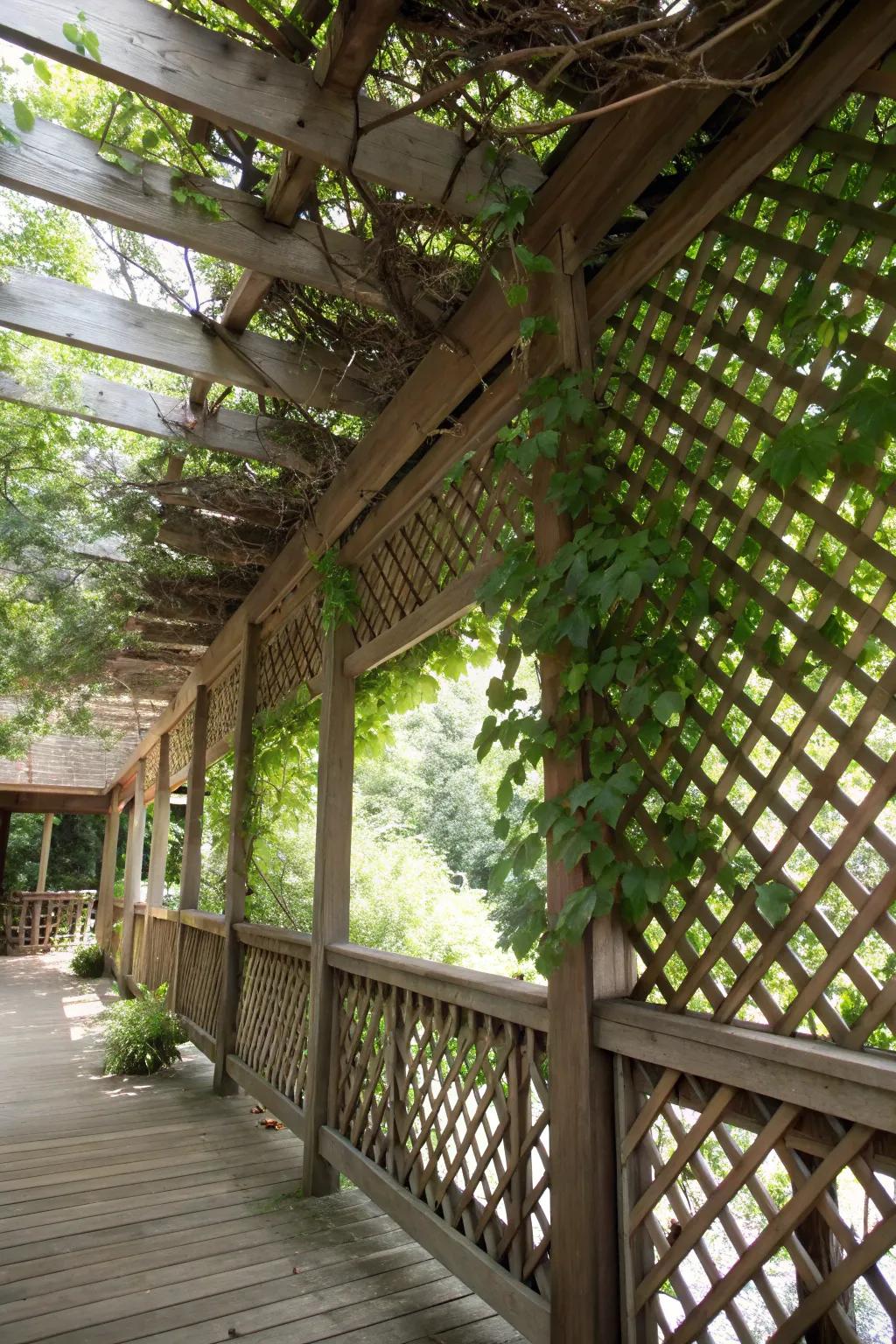 Enhance your under-deck privacy with rustic wooden lattice panels.