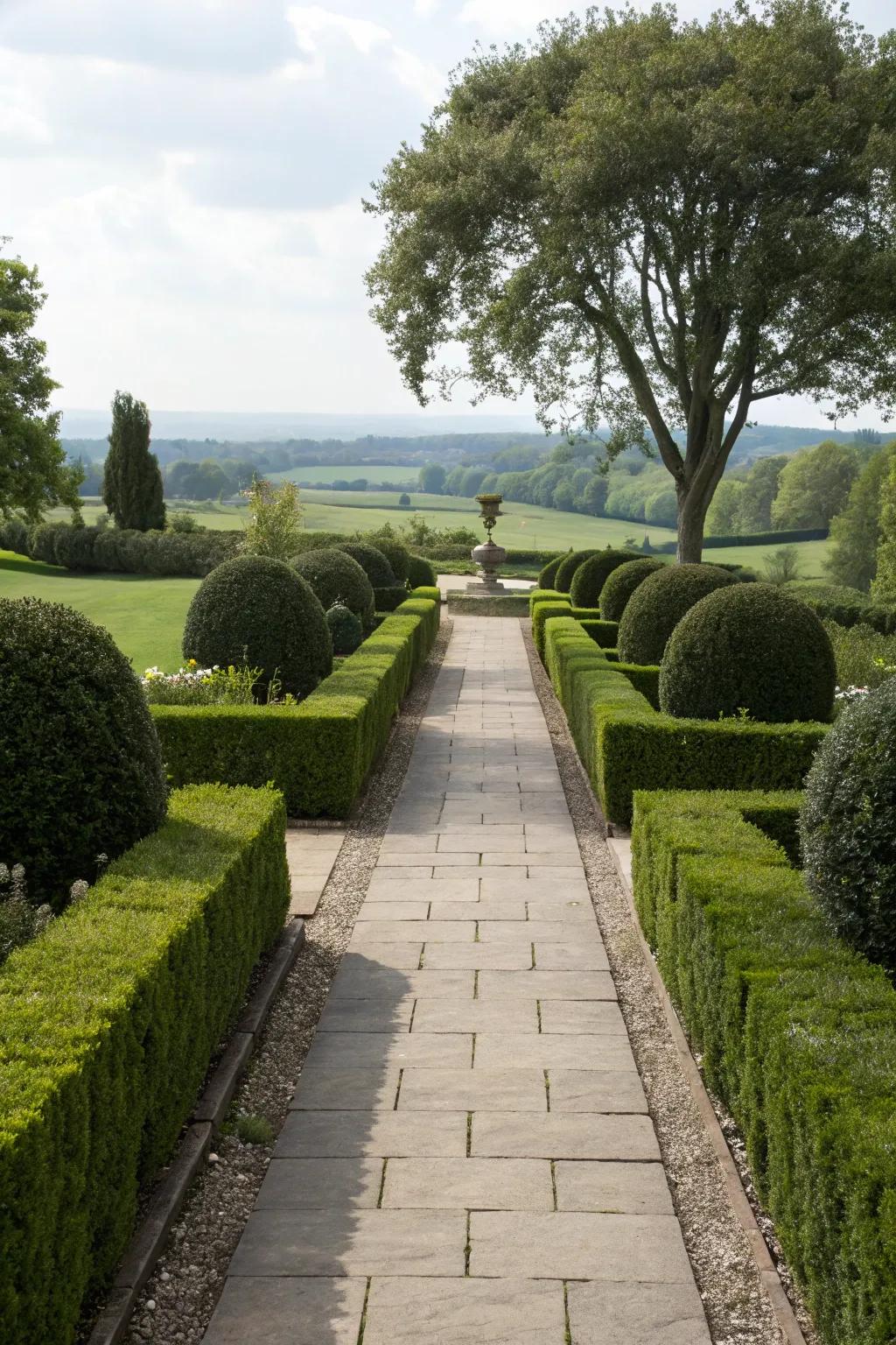 Formal garden path with symmetrical, trimmed hedges