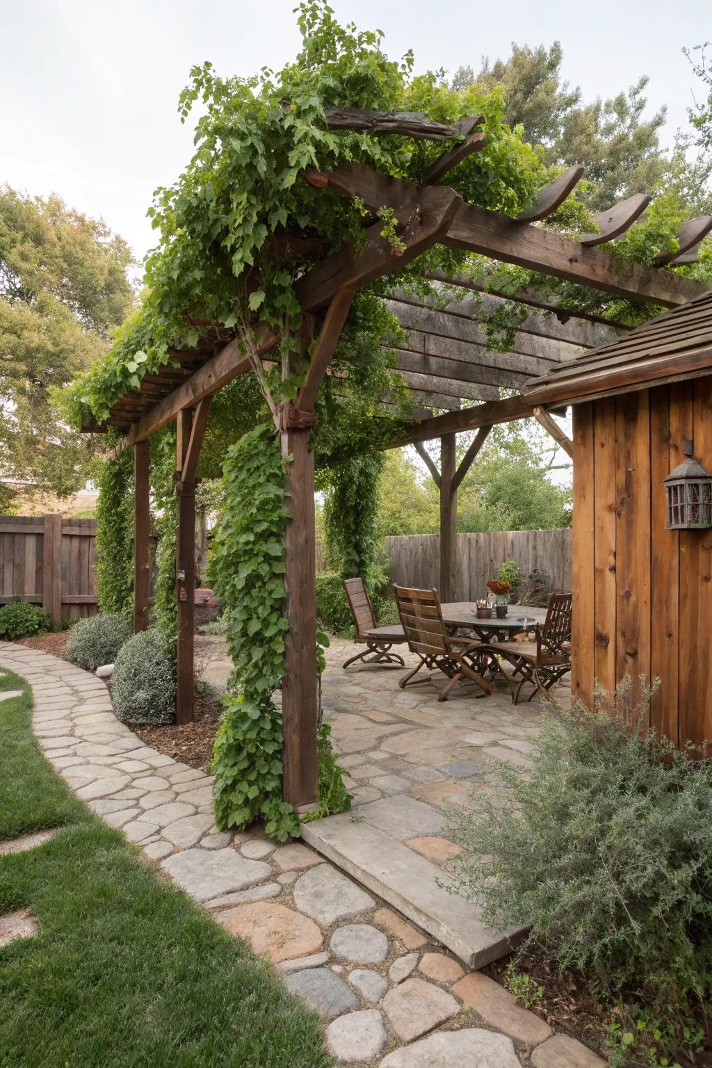 A charming pergola provides shade and style in a Western backyard.