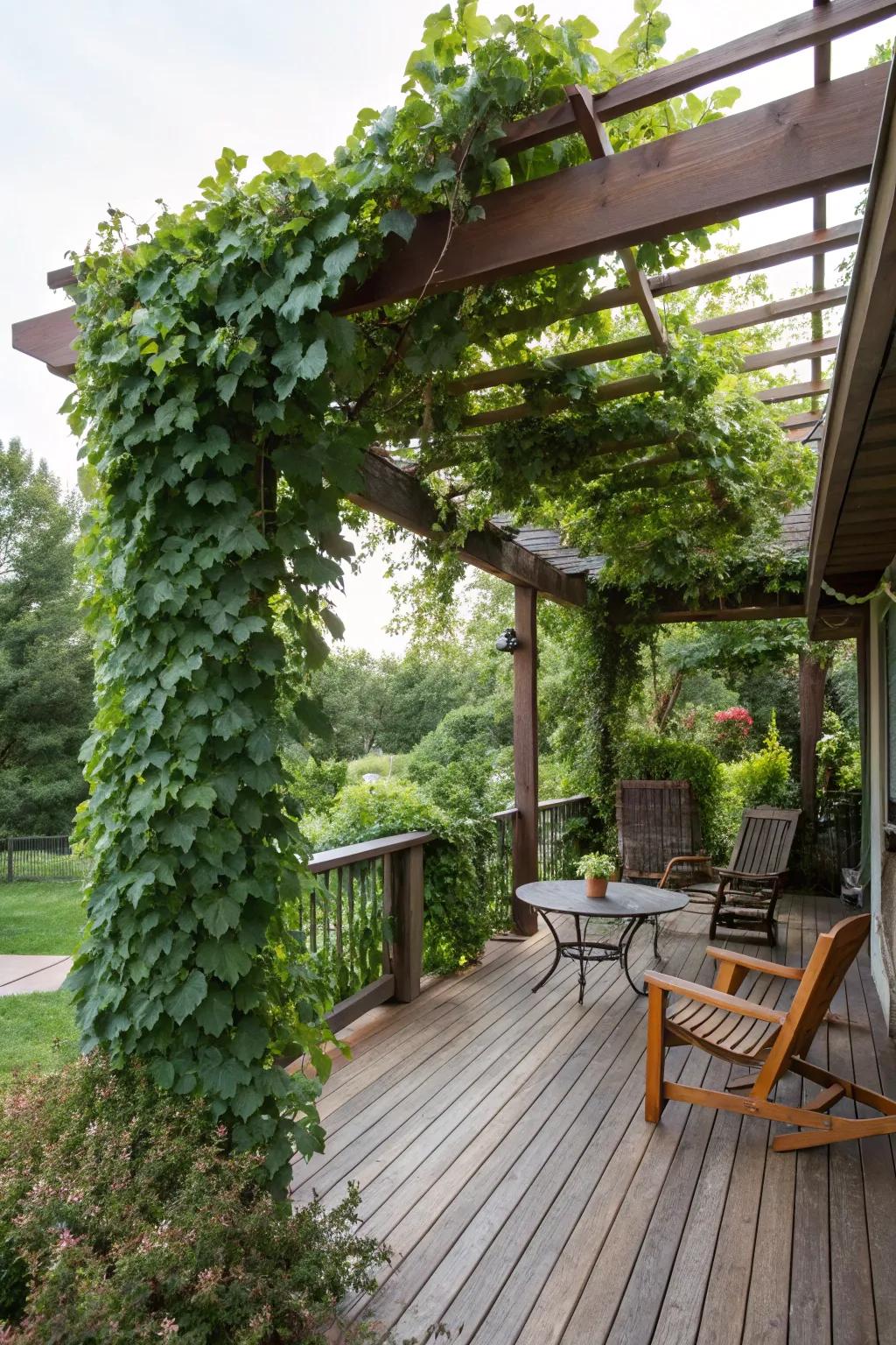 An artistic pergola design on a 20x20 deck.