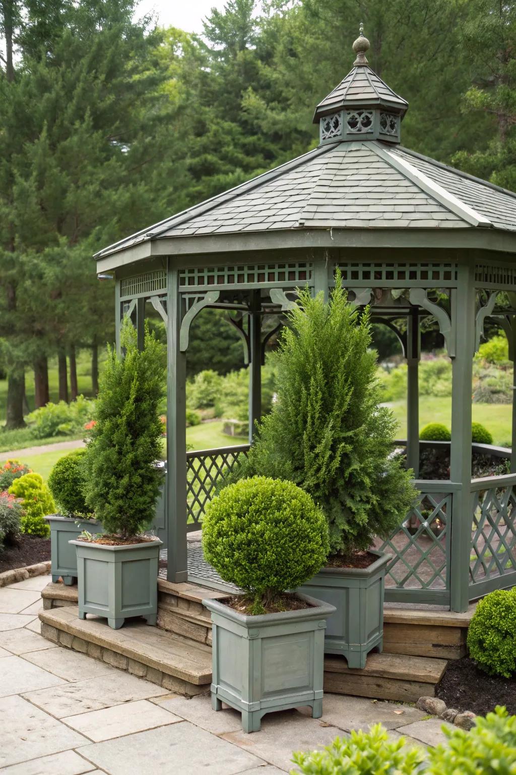 Evergreen shrubs offer stability and year-round greenery.