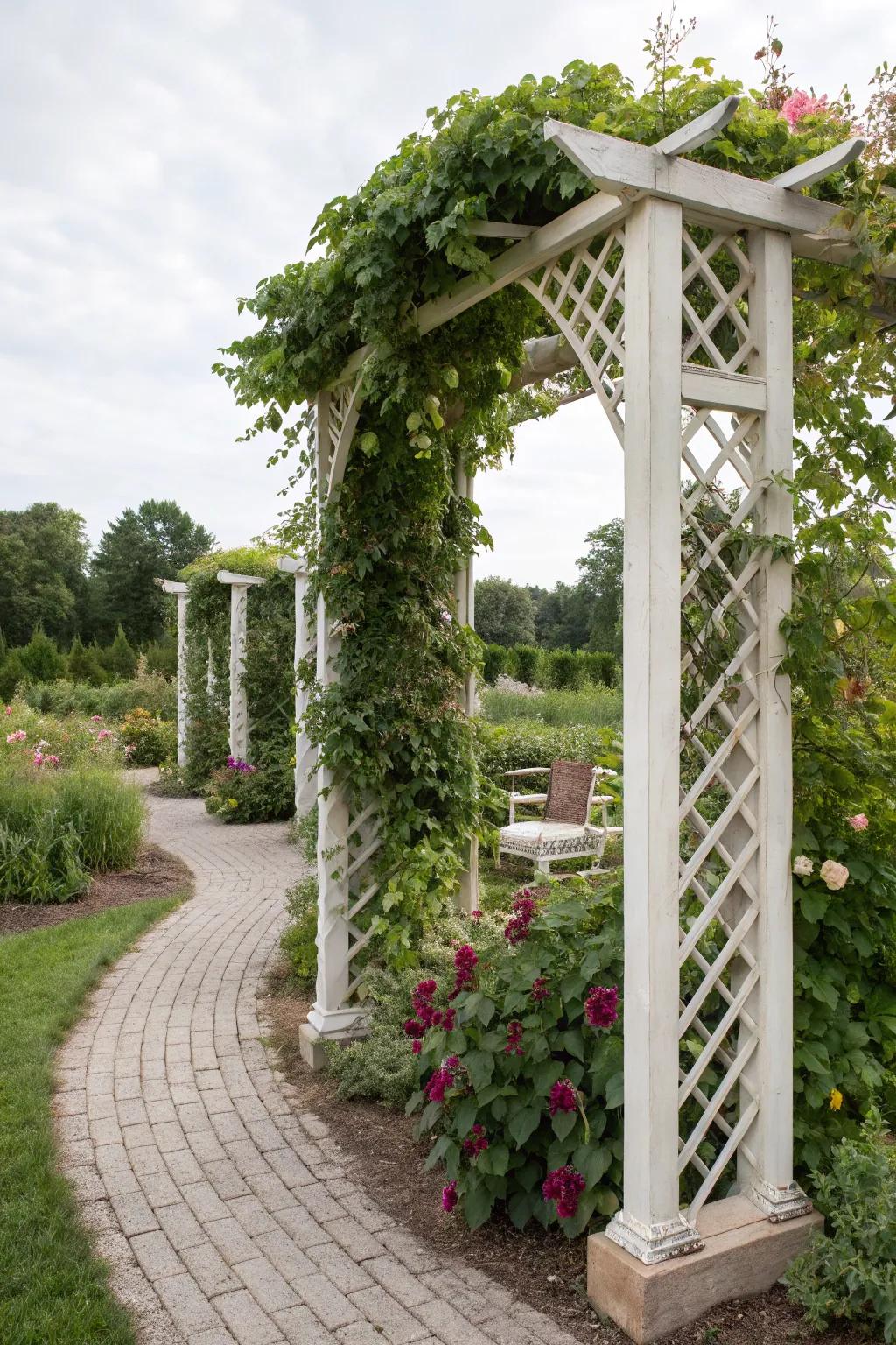 Trellis used to divide garden rooms, creating distinct spaces with lush climbing plants.