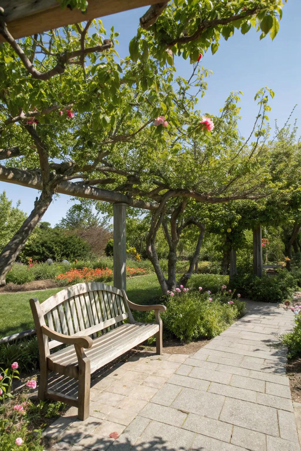Relax in your orchard with a dedicated seating area.
