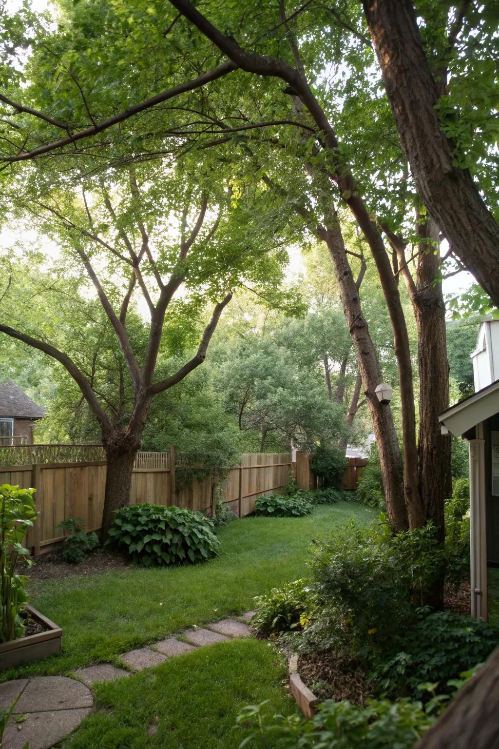 Trees naturally block unsightly views, enhancing privacy.