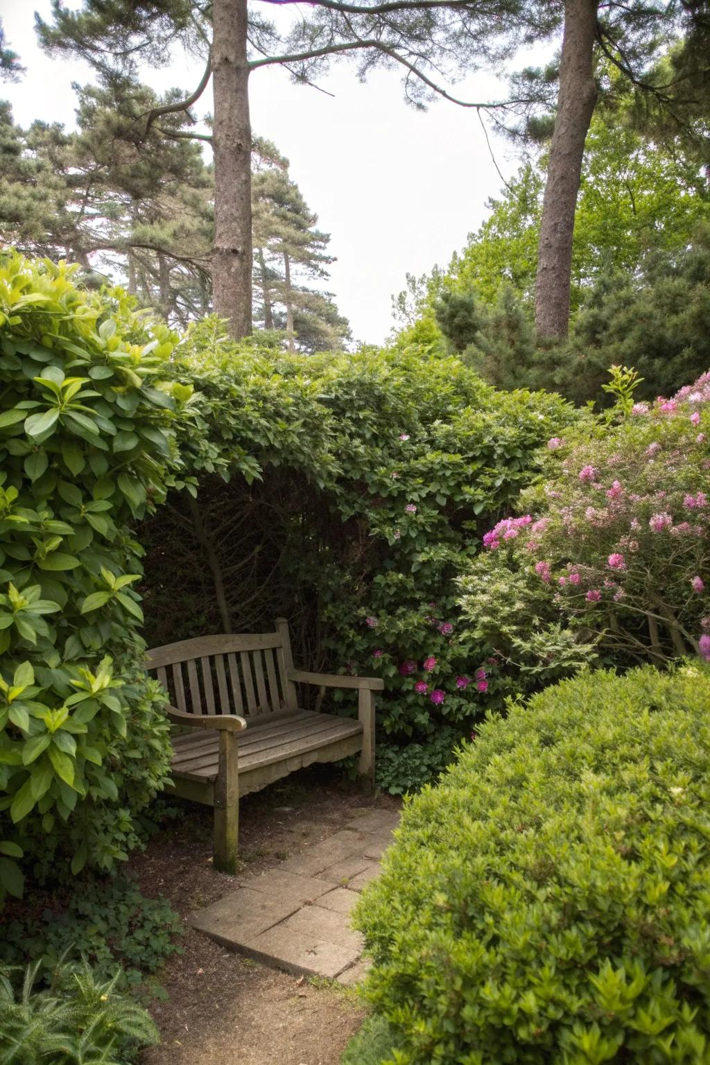 A secluded garden nook with a bench, tucked away in lush greenery.