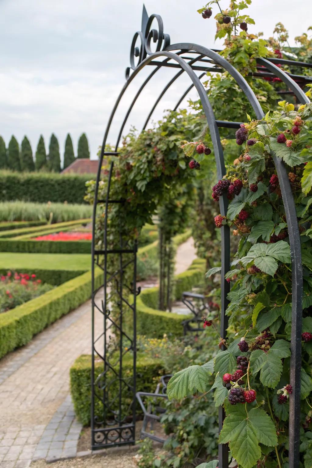A decorative metal trellis adding elegance to the garden.