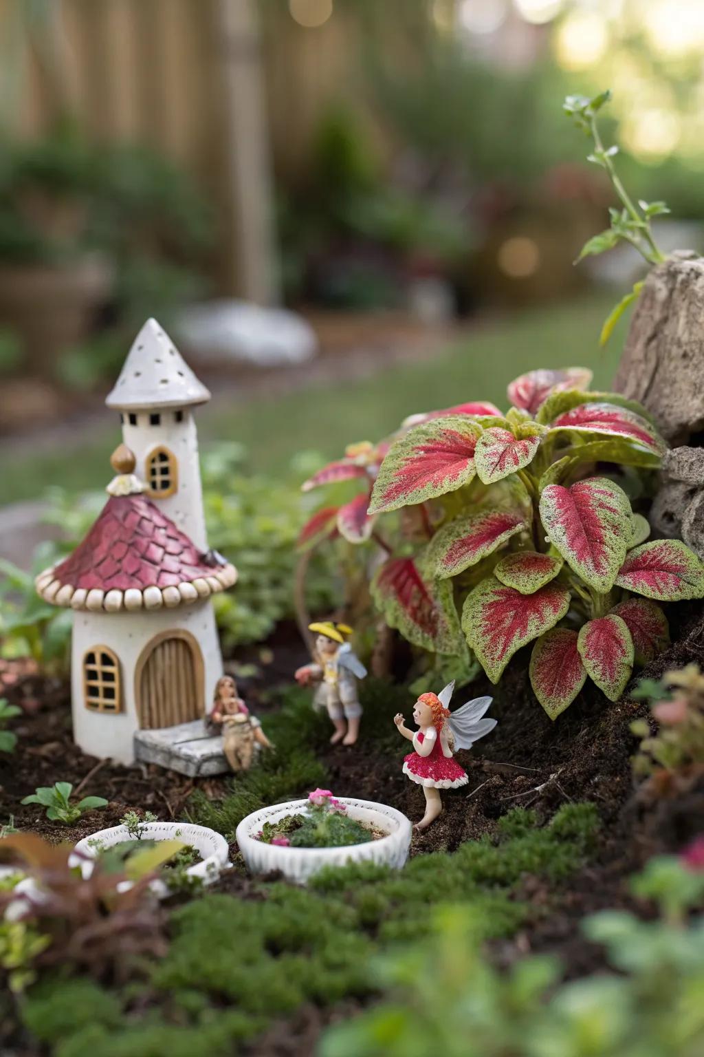 Whimsical Fairy Garden Delight with Mini Coleus