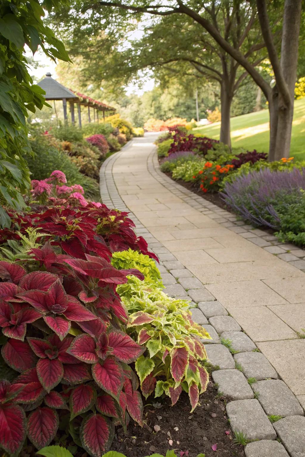Frame pathways with vibrant coleus edges.