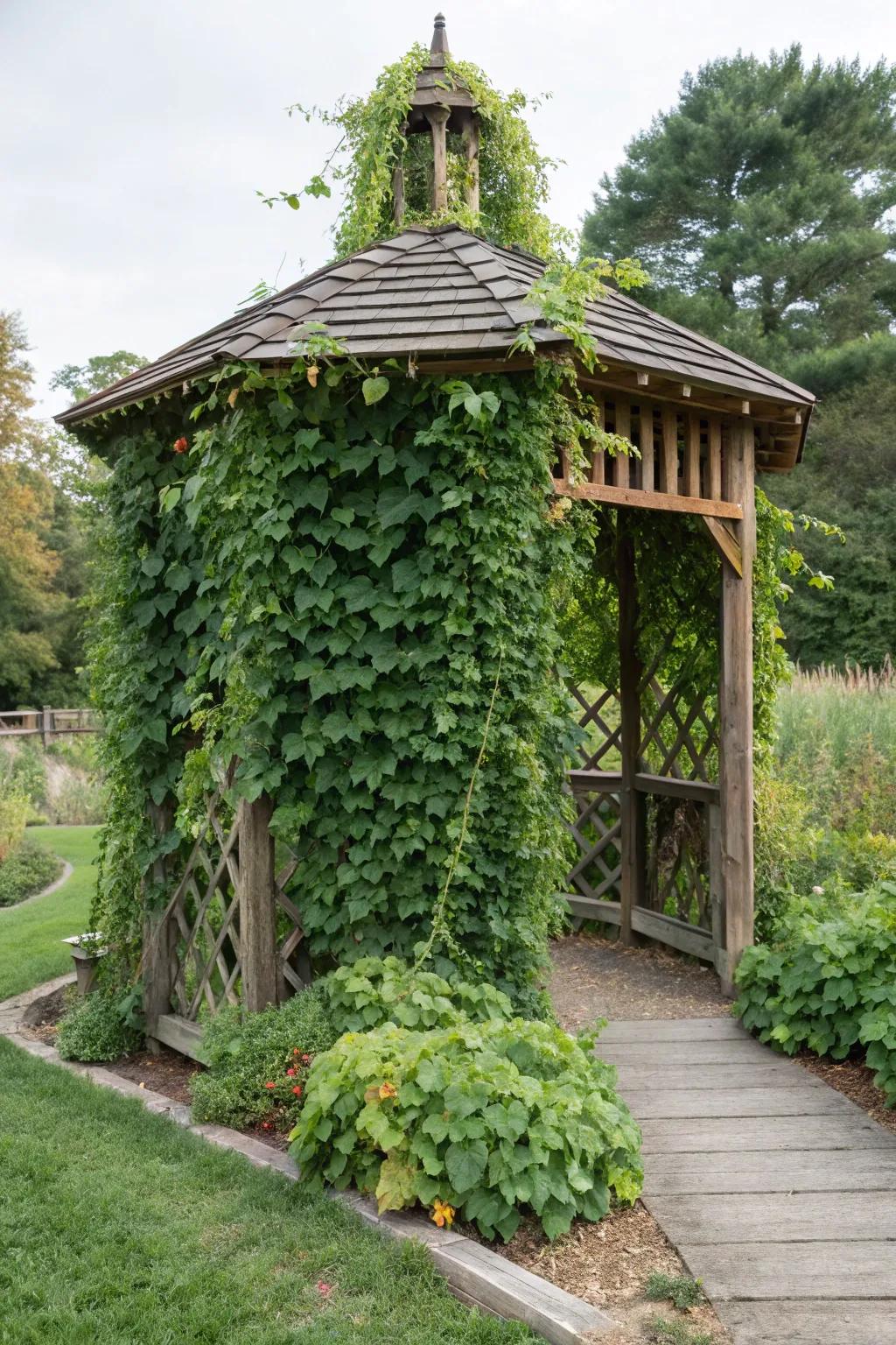 A vertical garden breathes life into the corn crib gazebo.
