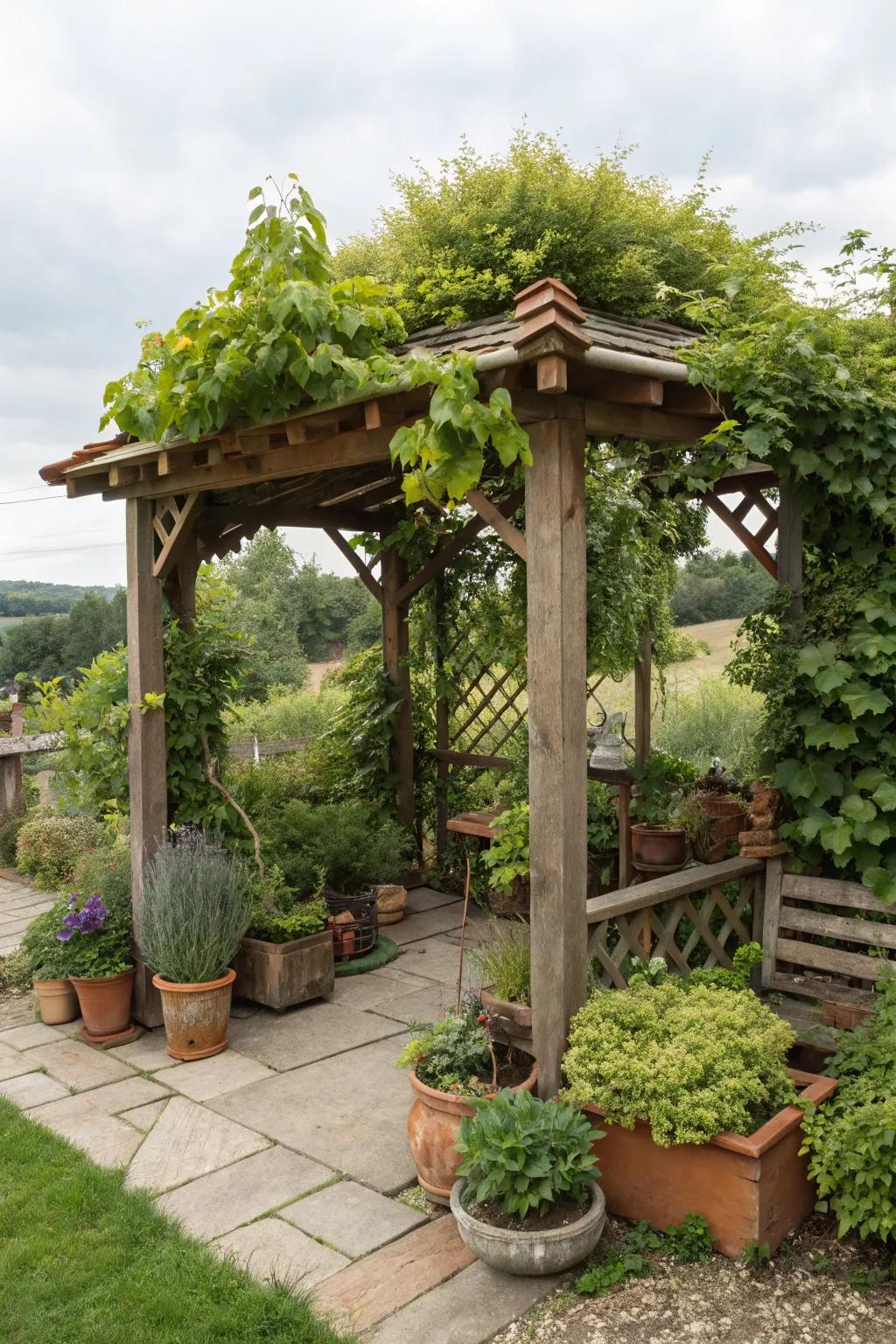 A pergola adds height and charm to your garden corner.
