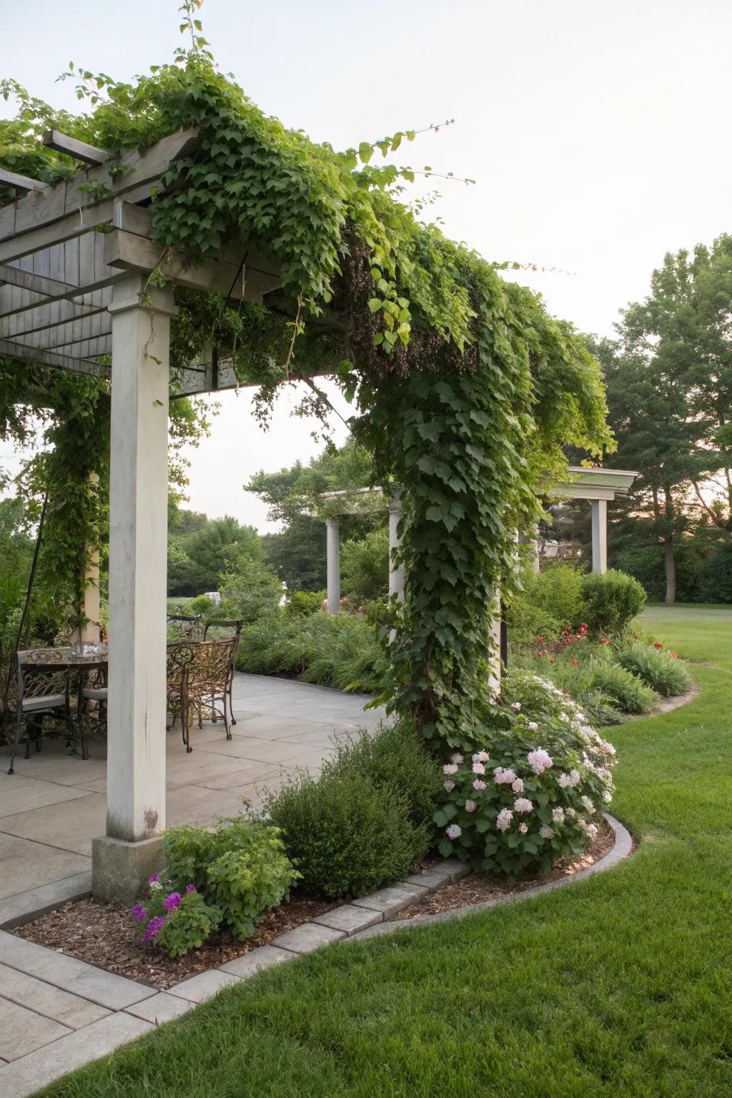 A vine-covered pergola for a private escape.