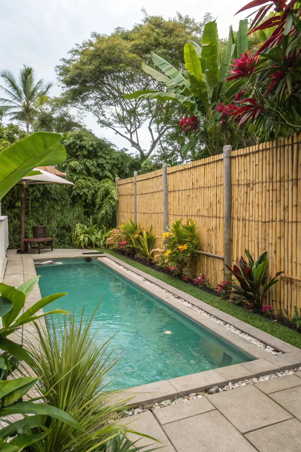 Bamboo fencing creates a tropical vibe around pools.