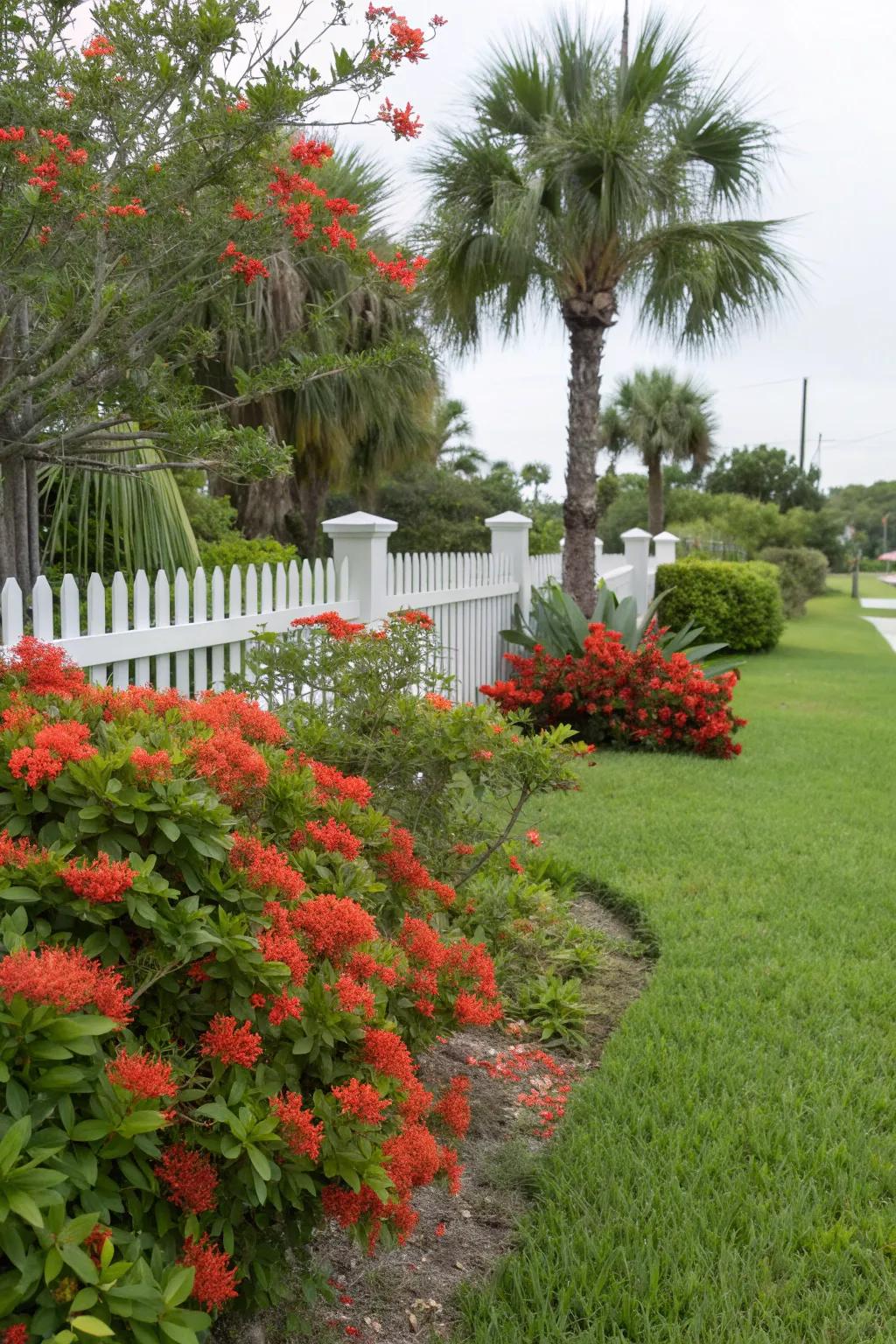 Native plants thriving in the Florida climate