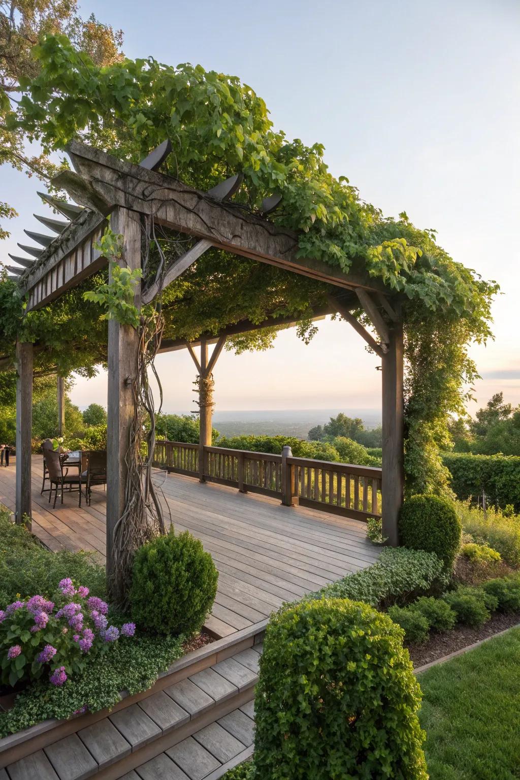 Pergolas offer both shade and a touch of elegance to garden decks.