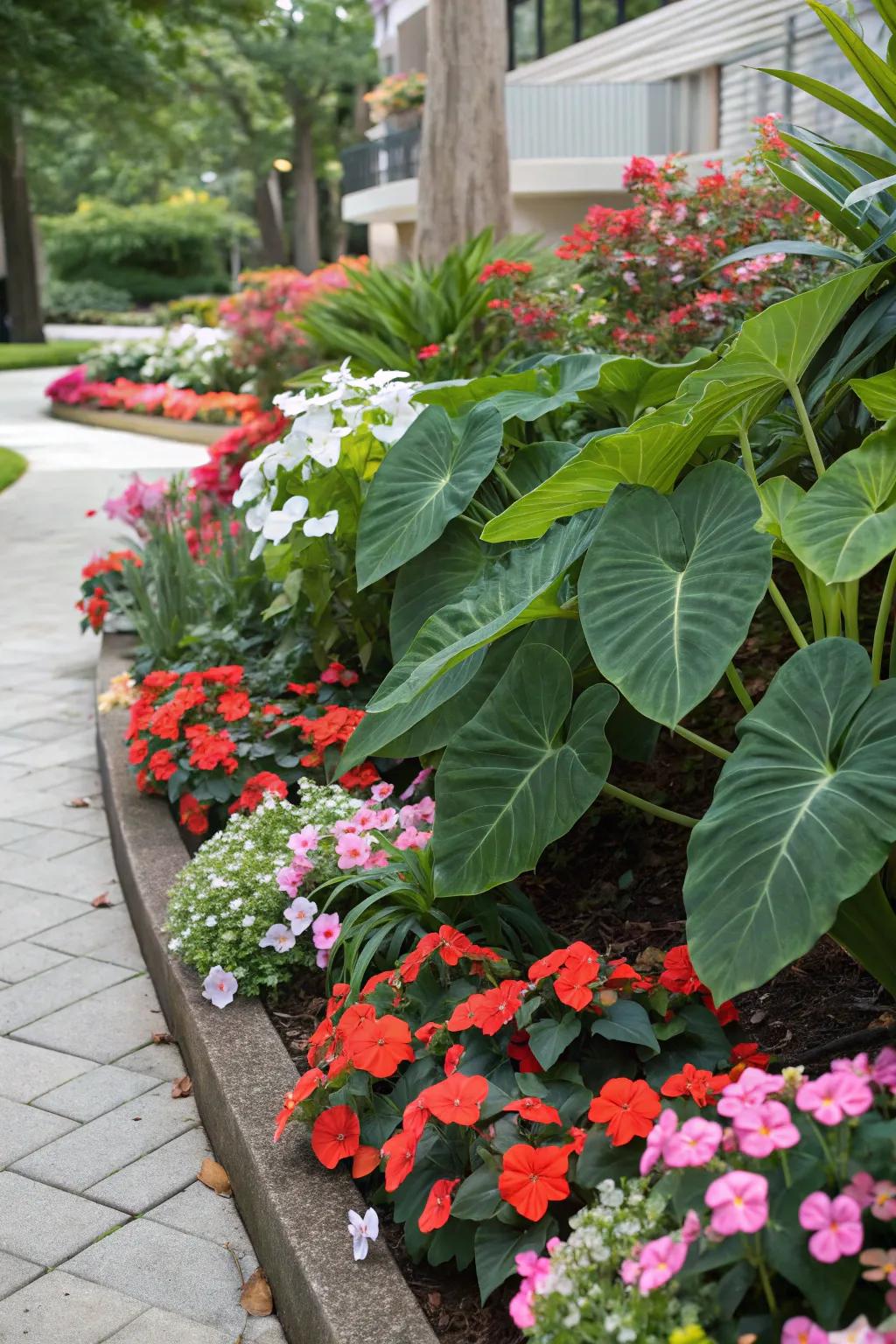 Create a vibrant display with colorful annuals and elephant ears.