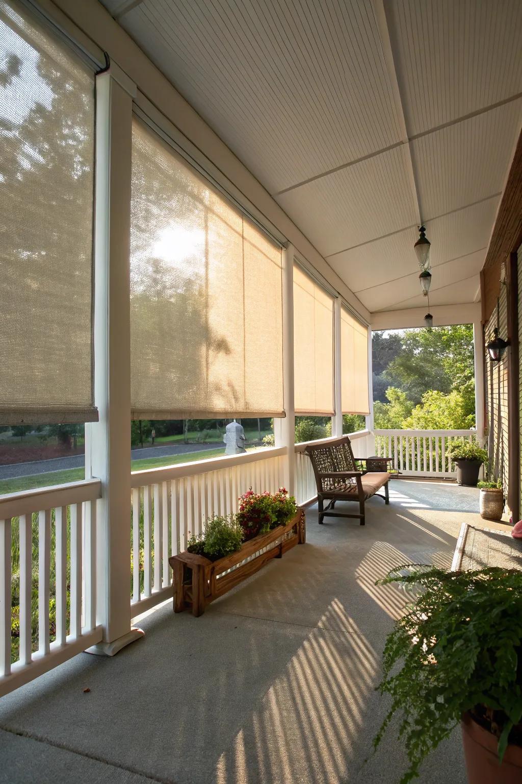 Solar shades offer energy efficiency and light control.