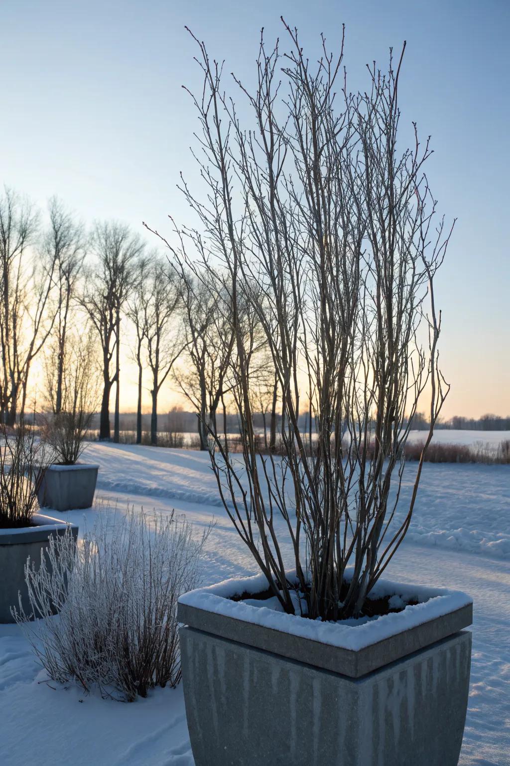 Tall elements like curly willow add dramatic flair.